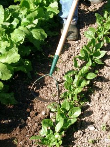 Duopro Fiskars-Leborgne Pour la culture et l'entretien des potagers
