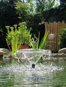 PONTEC - De fascinants jardins aquatiques faciles à mettre en scène