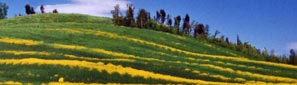 La Toscane