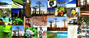 Découverte de la Grande Île Madagascar
