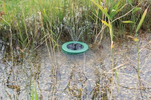 Nouveau set fontaine solaire flottante PondoSolar Island 250 Control PONTEC