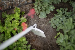 Cinq nouveaux outils de désherbage FISKARS