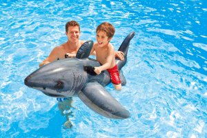 LES CHEVAUCHABLES INTEX : S'amuser au dos du grand requin blanc, de la raie manta ou du homard