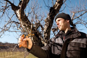 Nouveaux produits PRO Fiskars - En phase avec les besoins des professionnels