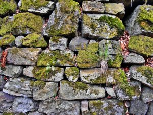 Isolation murs extérieurs : des économies à la clé