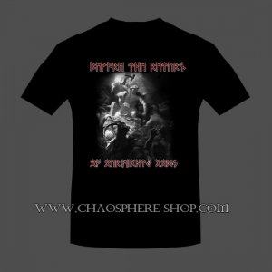 Nouvelle collection de T-Shirt viking !