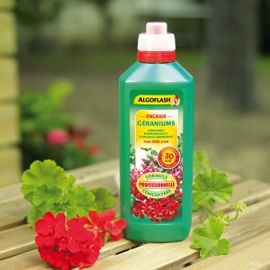 ALGOFLASH - ENGRAIS LIQUIDE GÉRANIUMS : Bouteille Anniversaire 30 ans