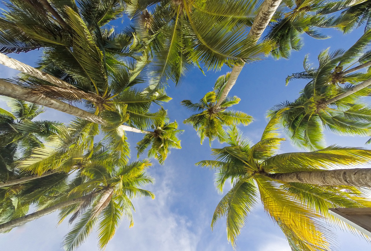 10 endroits pour se faire bronzer pendant les vacances