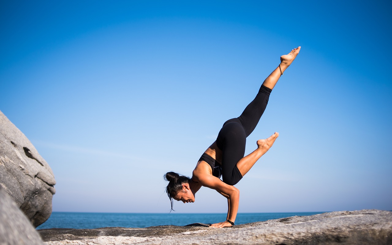 Fitness musculation