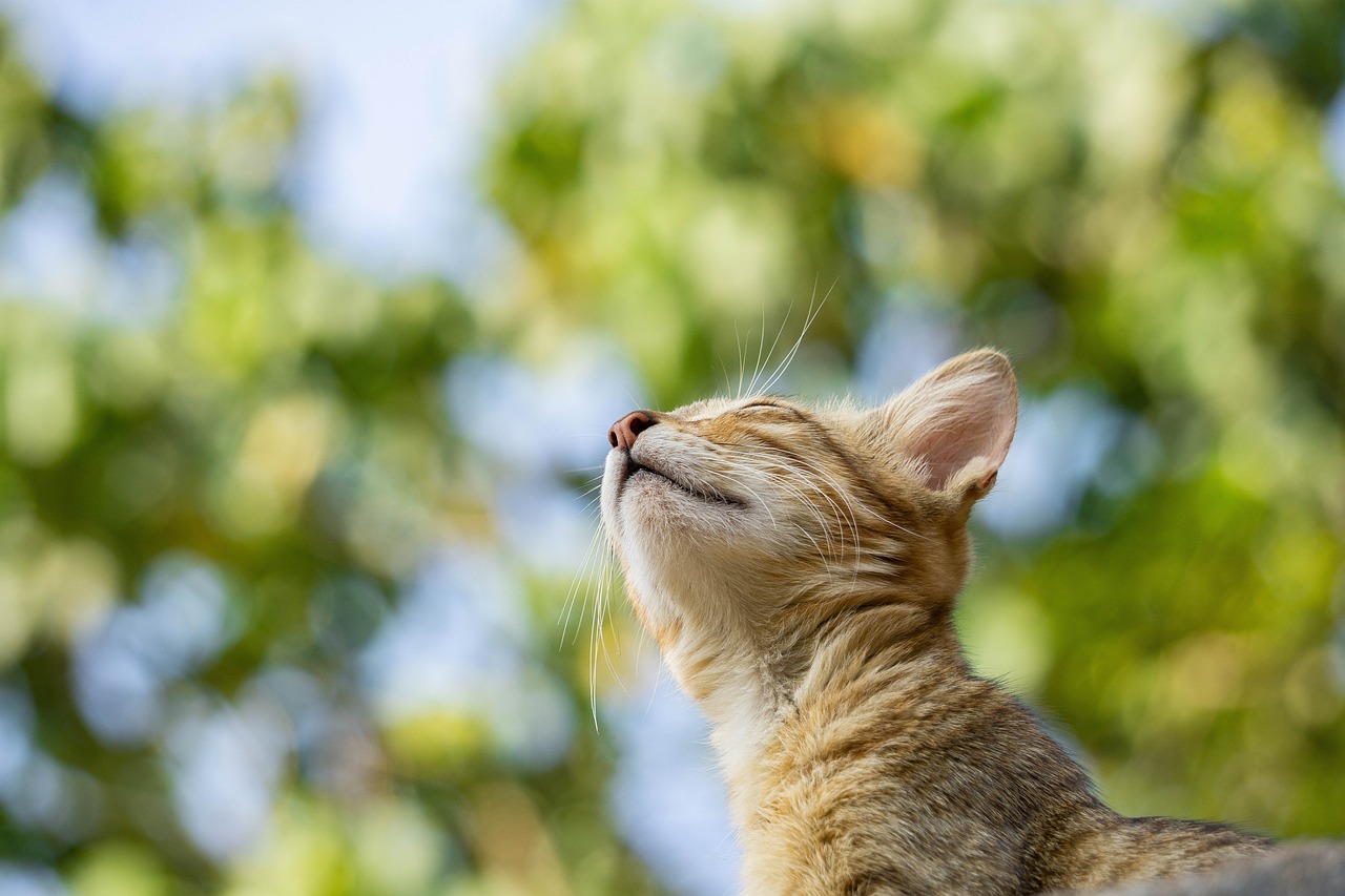 soigneur animalier
