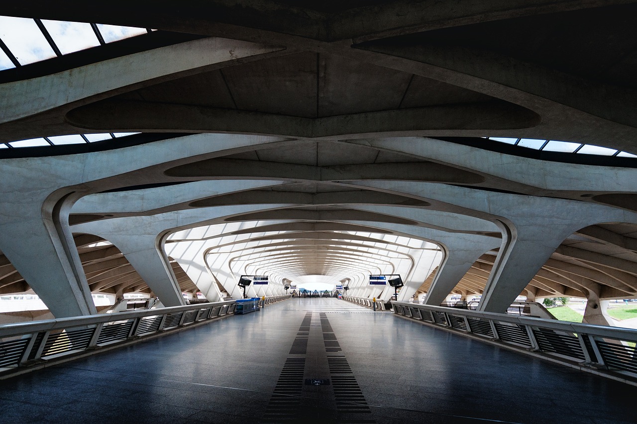 voiturier aeroport Lyon